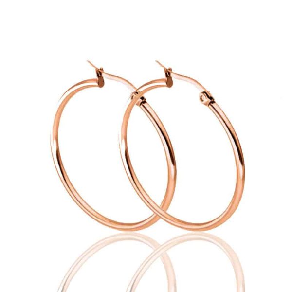 316L Stainless Steel Large Circle Coil Earrings