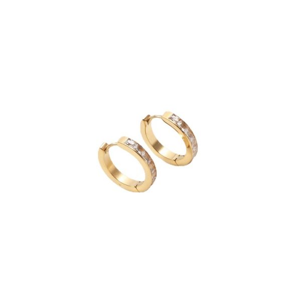 Half Circle Cubic Zirconia Earrings Titanium Steel Gold Plated