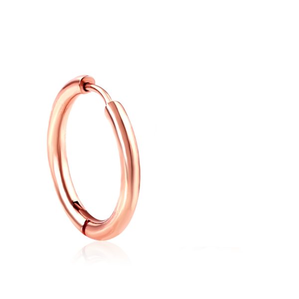 Simple fashion circle stainless steel earrings