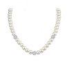 Necklace, bracelet, earring set