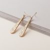 Exquisite Drop Earrings