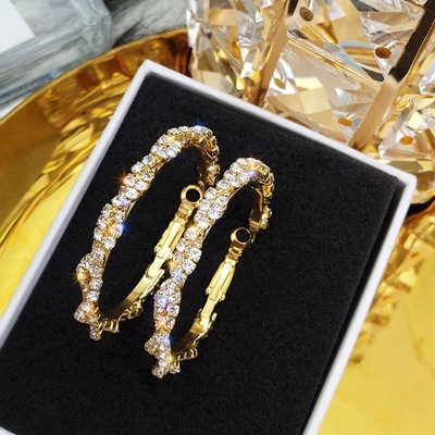 Silver Needle Korean High Temperament Circle Big Earrings Exaggerated Earring Trend