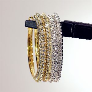 Diamond Double Row Large Circle Earrings