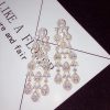 Water Drop Long Zircon Earrings