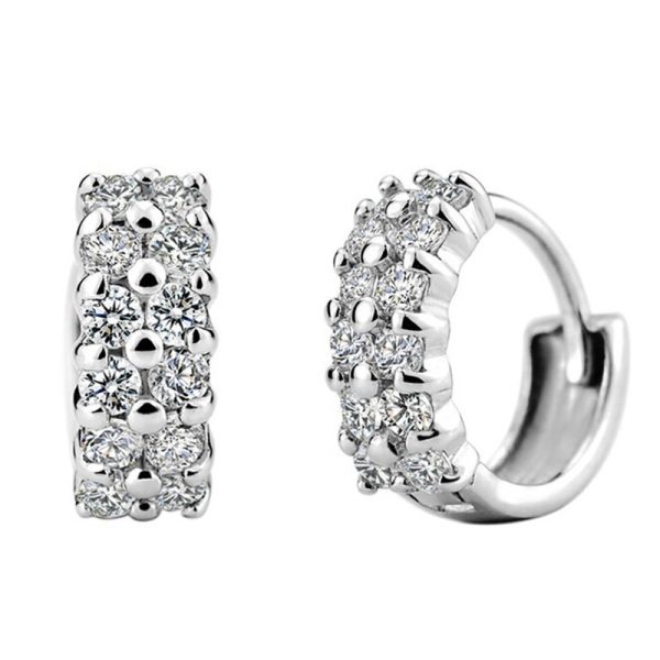 Double Row Diamond Circle Zircon Earrings
