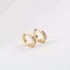 Half Circle Cubic Zirconia Earrings Titanium Steel Gold Plated