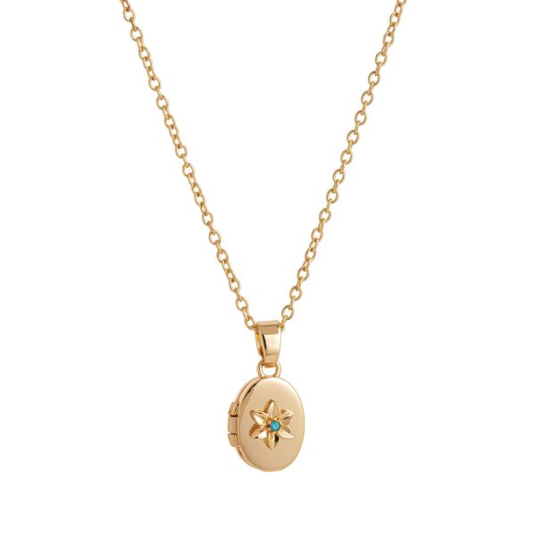 Oval Birth Flower Birthstone Photo Frame Necklace