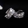 Double Row Diamond Circle Zircon Earrings