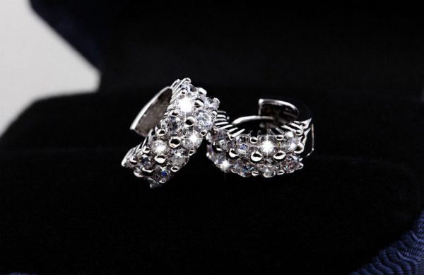 Double Row Diamond Circle Zircon Earrings