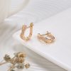 Popular Fine Zircon-embedded Earrings Women