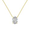 S925 Sterling Silver Necklace Female Oval Ice Flower