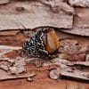 Punk Glyph Tiger Stone Ring