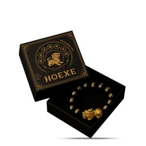Pi Xiu Bracelet Feng Shui Change Of Luck Add Color Pray For Fortune Spiritual Wealth Protection
