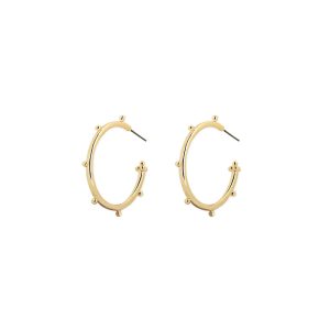 Circle C earringsRestoring ancient ways