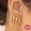 Cassidy Diamond Hoops