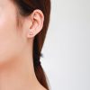 S925 Silver Microset Geometric Circle Stud Earrings