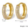 Amy Chunky Paved Hoops Earrings