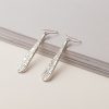 Exquisite Drop Earrings