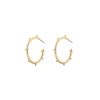 Circle C earringsRestoring ancient ways