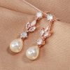 Women's Long Temperament Water Drop Eardrops