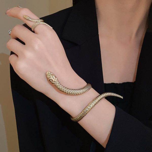 2-piece Set Exaggerated Twisted Winding Simulated Snakes Opening Ring Bracelet