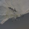 Frigid Wind Butterfly Earrings Women's Niche Simple 3Piece Set