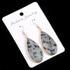 Natural Stone Semi-precious Stone Flat Drop-shaped Semi-precious Stone Eardrops 22x45mm