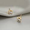 Simple Four-claw Single Diamond Pendant Female Temperament Titanium Steel Necklace