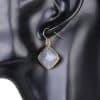 Natural Stone Amethyst Eardrops
