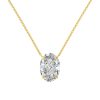 S925 Sterling Silver Necklace Female Oval Ice Flower