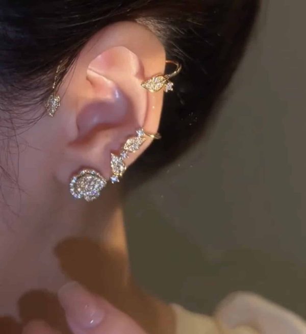 5c51b660-5dee-4f26-be1c-6c4ac0276a52.jpg Vintage Light Luxury Rose Earrings Set With Zircon Earrings