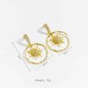 Fashion Premium Design Sense Earrings Circle Pendant Earrings