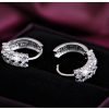 Double Row Diamond Circle Zircon Earrings