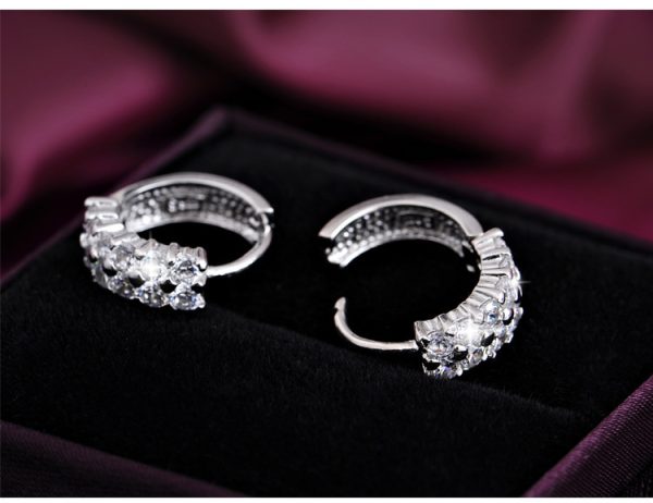 Double Row Diamond Circle Zircon Earrings