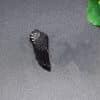 Silver stone Wing Pendant Necklace