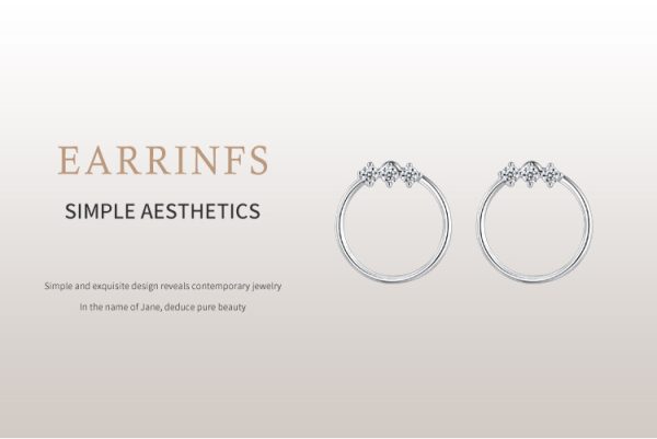 S925 Silver Microset Geometric Circle Stud Earrings