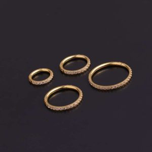Pure Stainless Steel Split Ring Round Set Zircon Earrings