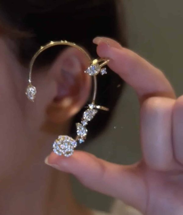 7c2886ce-bd80-408a-bdf6-a008e9d9424f.jpg Vintage Light Luxury Rose Earrings Set With Zircon Earrings