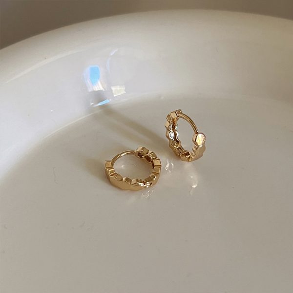 Glossy Geometric Polygon Section Ear Clip Everyday Style Simple Circle Earring