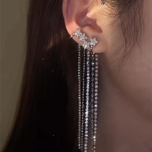 Women's Elegant Tassel Micro-set Zircon Earrings