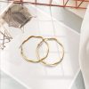 Exaggerated Circle Earrings Female Korean Temperament Simple