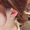 Sterling Silver Needle Zircon Rose Three-piece Set Ear Studs One Card Three Pairs