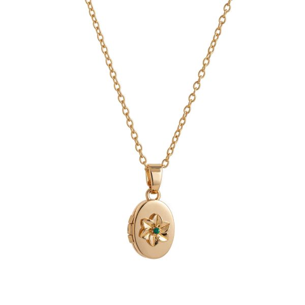 Oval Birth Flower Birthstone Photo Frame Necklace