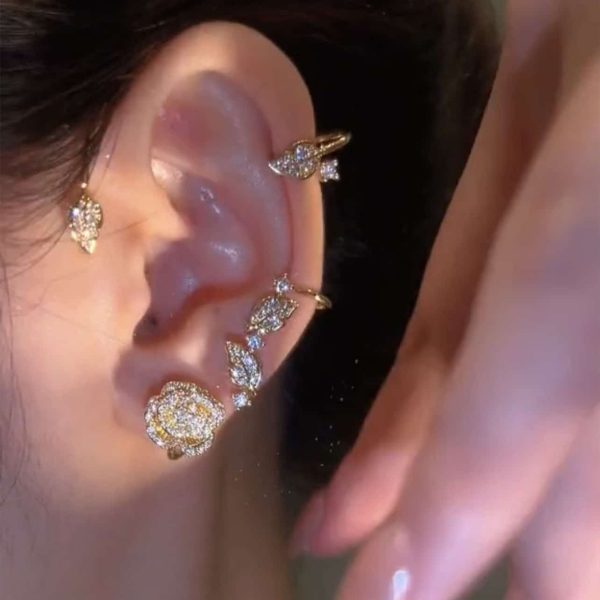 9ed30f68-d9e9-489d-bedc-fb95844a3ef6.jpg Vintage Light Luxury Rose Earrings Set With Zircon Earrings