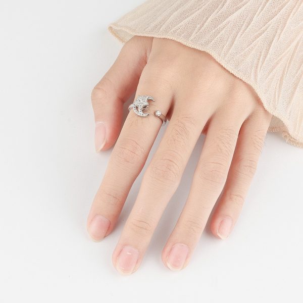 Micro-inlaid Free Rotating Zircon Star Moon Anti-anxiety Ring