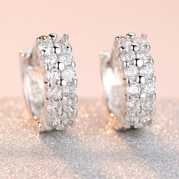 Double Row Diamond Circle Zircon Earrings