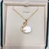 a69bb4d9-af1c-4fac-b6f6-3237dd46daa7.jpg Freshwater Pearl Baroque Special-shaped Beads Swan Pearl Necklace