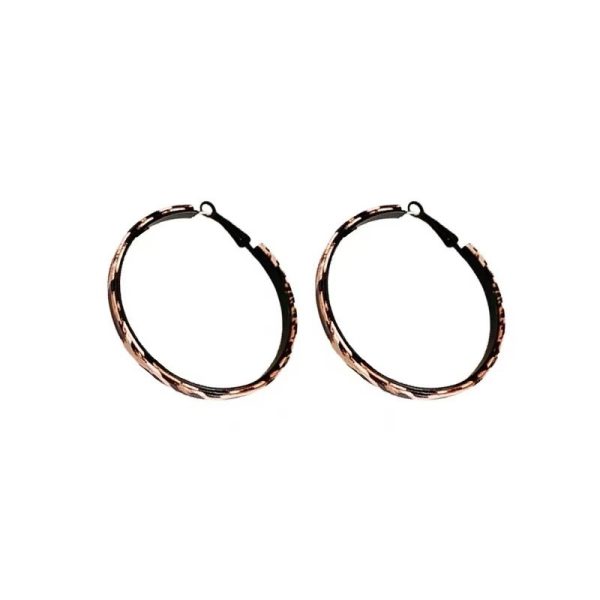 New High-grade Big Circle Autumn And Winter Exaggerated Maillard Earrings