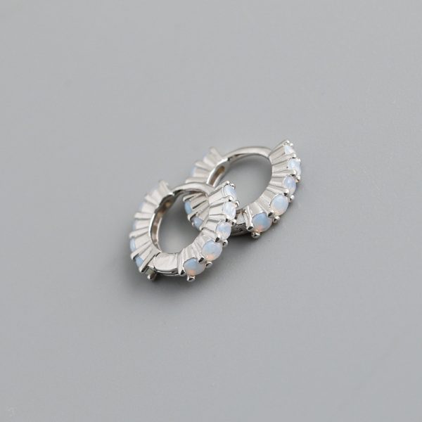 Circle-shaped Diamond Colorful Crystals Opal Zircon S925 Sterling Silver Earrings