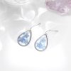 Dried Resin Water Drop Earrings